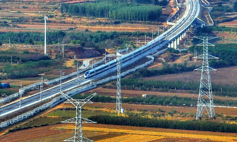 1730186483194246.jpg 31941404.jpg